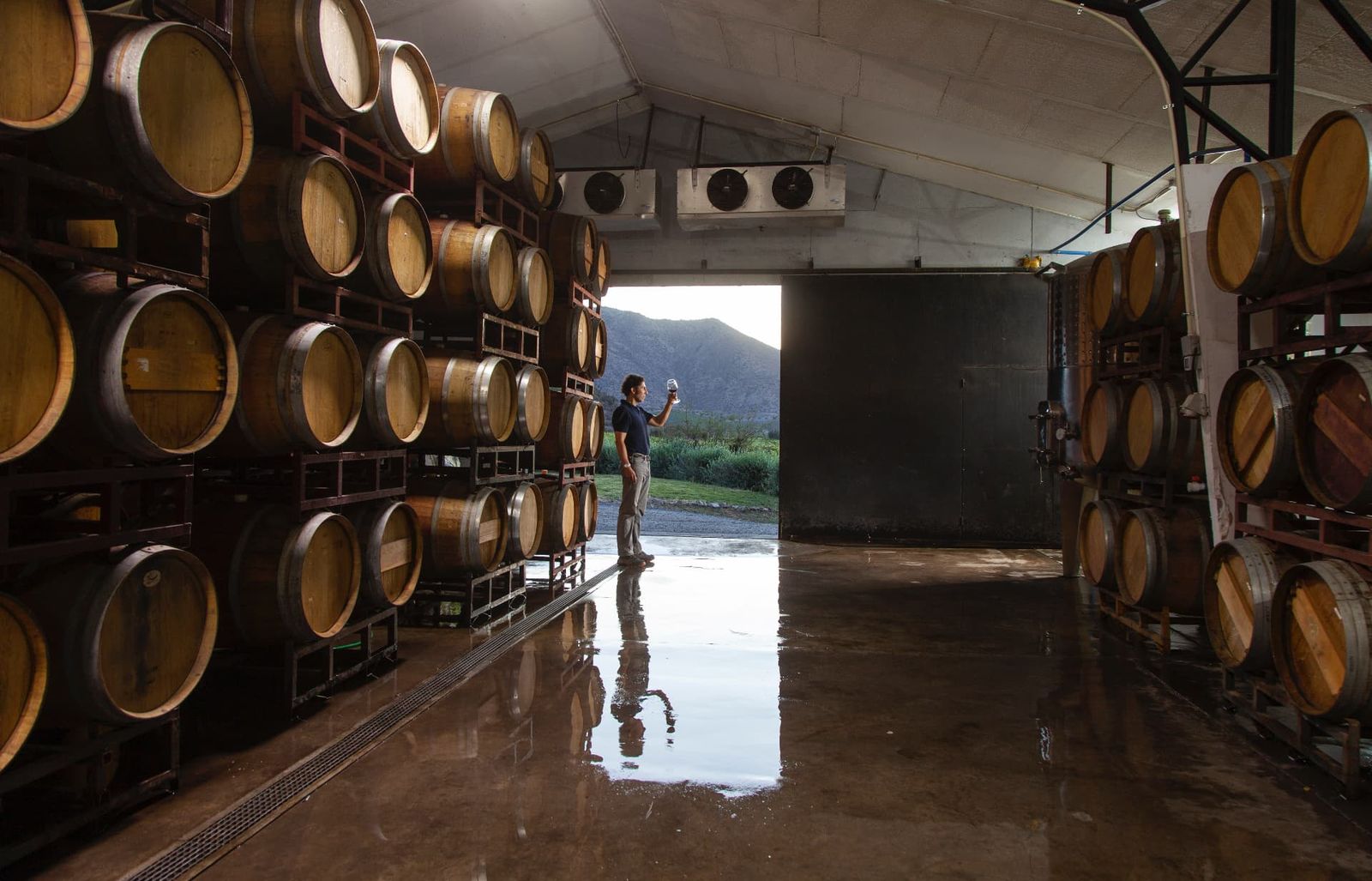 Miguel Besoaín catando vino entre barricas de roble en la bodega de Los Morros