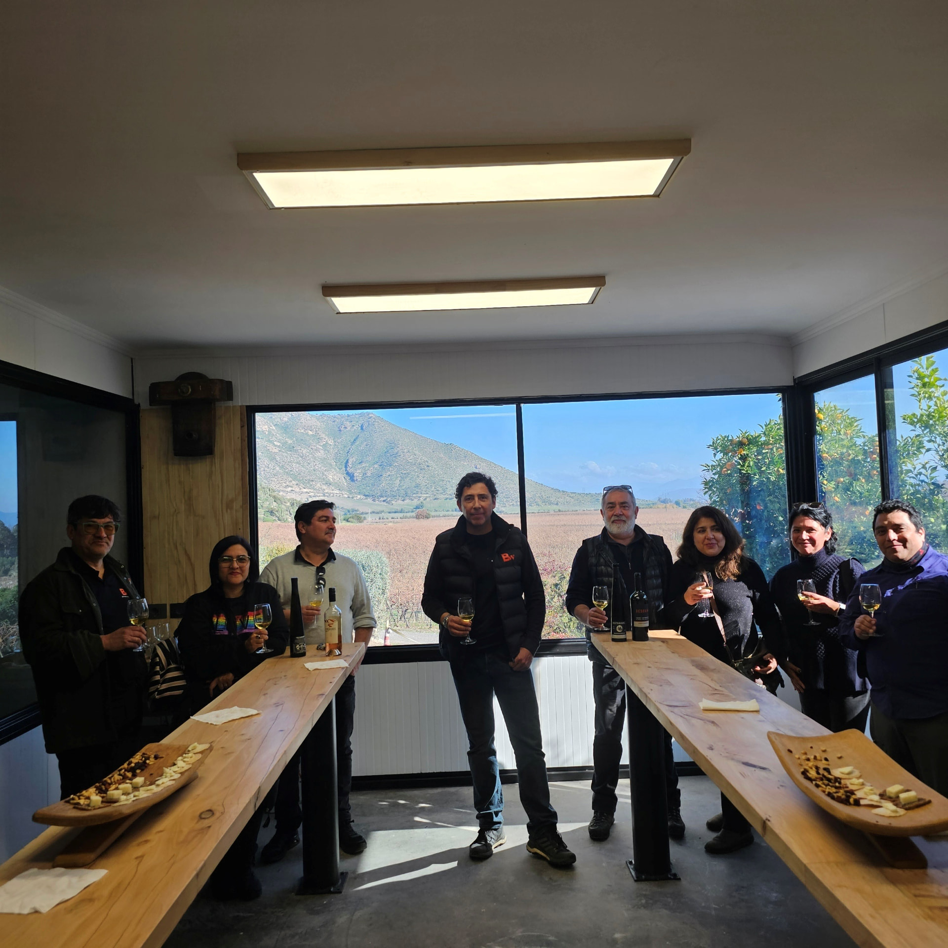 Brindando en la sala de degustación con vista al viñedo y a la montaña