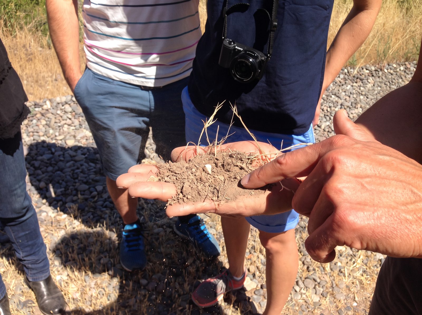 Guía de Besoain Wines explicando el suelo del viñedo durante un tour en el Valle del Maipo