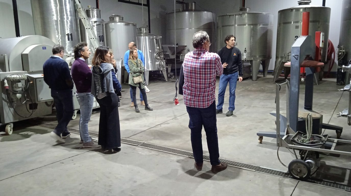 Guía de Besoain Wines explicando la elaboración del vino a un grupo de visitantes en la sala de cubas